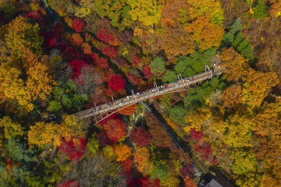화담숲, 15일부터 가을 단풍축제 개최