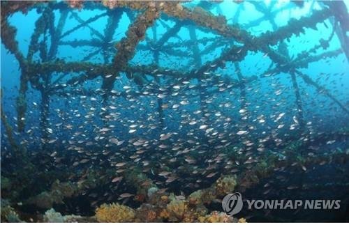 전북 앞바다 인공어초 1161개 설치