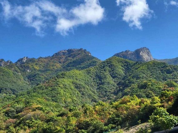 제천 월악산 단풍 시작…이달 24일 절정 예상