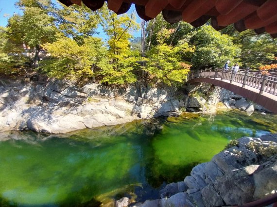 함양 거여정에서 바라본 계곡 물과 다리 전경.사진=이환주 기자