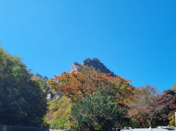 본격 가을 단풍철이 시작된 13일 강원 인제와 양양을 잇는 국도 44호선 오색경관쉼터에 단풍이 물들고 있다. 2022.10.13/뉴스1 ⓒ News1 윤왕근 기자