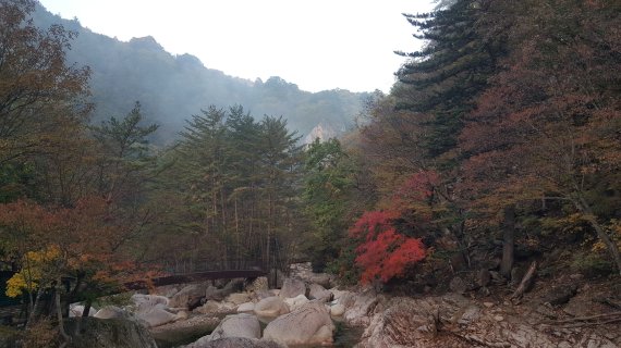 본격 가을 단풍철이 시작된 13일 설악산국립공원 수렴동 일대에 단풍이 물들고 있다. (설악산국립공원사무소 제공) 2022.10.13 /뉴스1