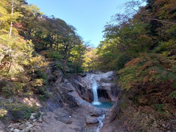 본격 가을 단풍철이 시작된 13일 설악산국립공원 용소폭포 일대에 단풍이 물들고 있다. (설악산국립공원사무소 제공) 2022.10.13/뉴스1