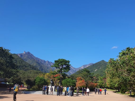 가을 단풍철이 시작된 13일 설악산국립공원 소공원 일대에 단풍이 물들고 있다.(설악산국립공원사무소 제공)2022.10.13/뉴스1