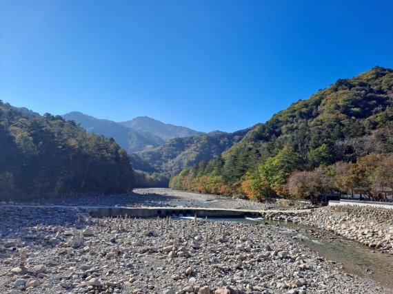 본격 가을 단풍철이 시작된 13일 설악산국립공원 백담사 일대에 단풍이 물들고 있다. (설악산국립공원사무소 제공) 2022.10.13/뉴스1