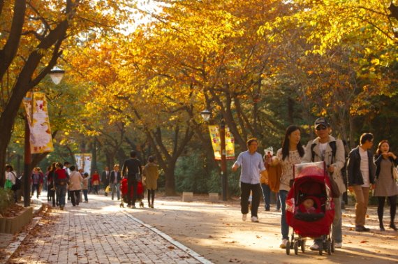 서울시설공단은 15일부터 광진구 능동 서울어린이대공원에서 ‘가을 오락실’ 축제를 개최한다. /사진=서울시