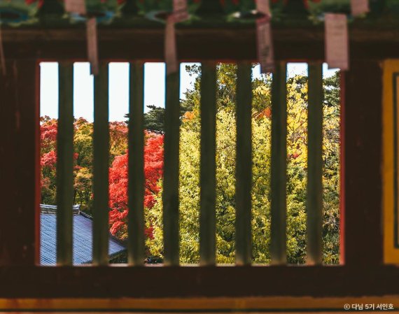 경주 불국사 (사진=한국관광공사 대한민국 구석구석) photo@newsis.com *재판매 및 DB 금지