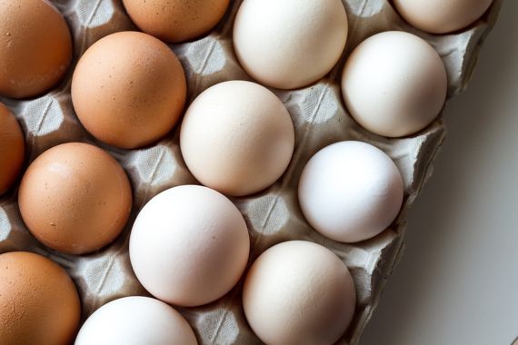 울산지역서 생산된 달걀, 농약·항생제 기준 모두 '적합'
