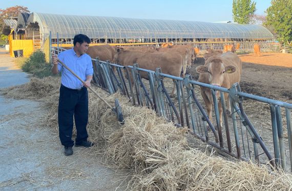전남도, 전국한우능력평가대회 4년 연속 수상