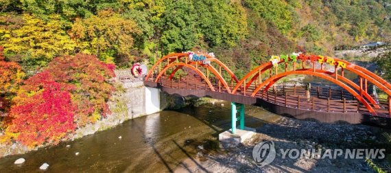 태백 철암 단풍 [태백시 제공.재판매 및 DB 금지]