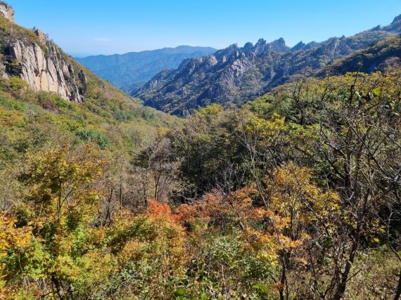 본격 가을 단풍철이 시작된 13일 강원 인제와 양양을 잇는 설악산국립공원 한계령 일대에 단풍이 물들고 있다. 2022.10.13/뉴스1 ⓒ News1 윤왕근 기자