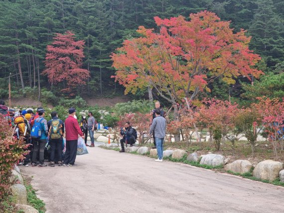 가을 단풍 절정이 시작된 16일 강원 강릉 연곡면 오대산국립공원 소금강계곡 입구에 등산객들이 단풍이 물든 나무 앞에서 기념사진을 촬영하고 있다. 2022.10.16/뉴스1 ⓒ News1 윤왕근 기자