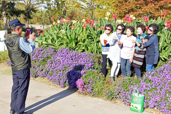 16일 오후 대한민국 제1호 국가정원 순천만국가정원을 찾은 관광객들이 보랏빛 라벤더 등을 배경으로 사진을 찍고 있다. 2022.10.16/뉴스1 ⓒ News1 김동수 기자