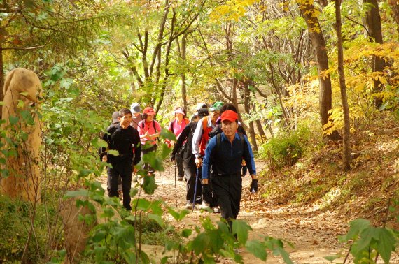 비단에 수 놓은 듯…금수산 감골 단풍축제 23일 개최