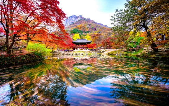 "10월 마지막 주말엔 장성 백양사 단풍 보러 오세요"