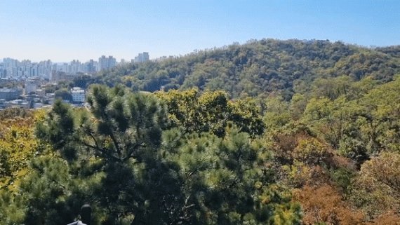 북한산에 '울긋불긋' 첫 단풍…지난해보다 이틀 빨라