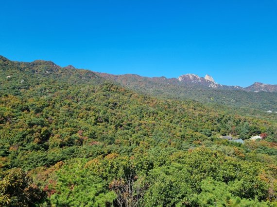 추워지자 북한산도 첫 단풍…오대산은 '울긋불긋' 절정