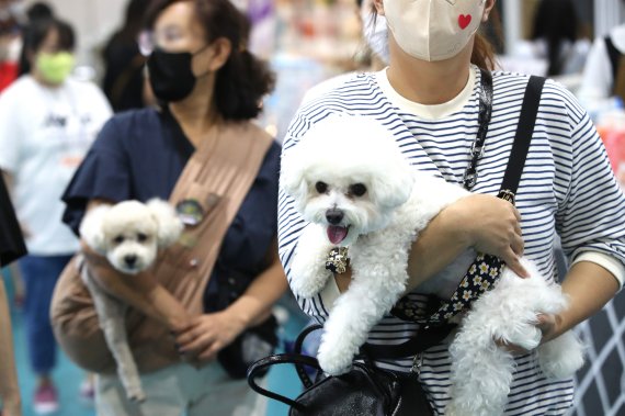 16일 서울 강남구 세텍에서 열린 '2022 서울펫쇼에서 반려견과 함께 행사장을 찾은 방문객들이 반려동물용품을 살펴보고 있다. 2022.9.16/뉴스1 ⓒ News1 임세영 기자