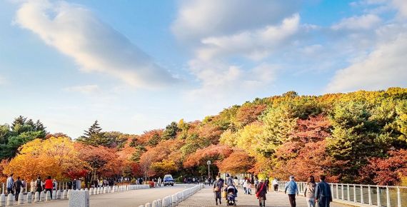 취향따라 골라 즐기는 서울랜드 이색 단풍놀이 추천 코스