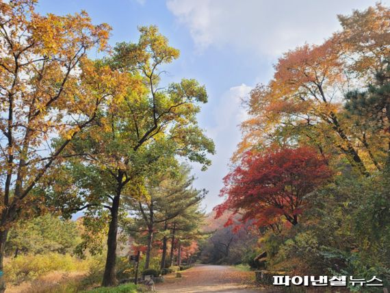 서울대 관악수목원. 사진제공=안양시