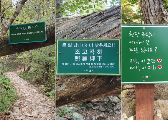 등산로에 걸린 부처님 말씀. 1. 항상 겸손(下心)하라. 그러면 세상과 부딪칠 일이 없다. 2. 발밑을 잘 보라. 도는 멀리 있지 않다. 3. (해탈고개에서) 천국으로 가는 길이니 힘을 내시오!