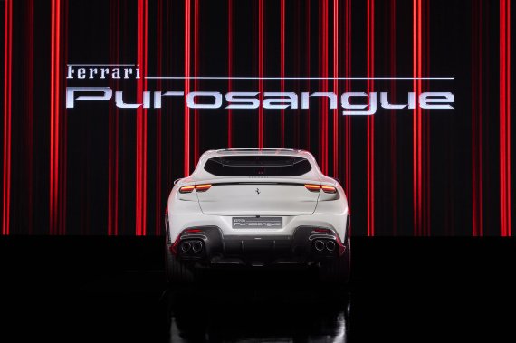 [서울=뉴시스]페라리 푸로산게.(사진=FMK 제공) 2022.10.21 photo@newsis.com