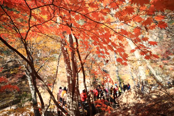 지난 22일 화창한 날씨 속에 설악산을 찾은 등산객들이 단풍산행을 즐기고 있다. /사진=연합 지면화상