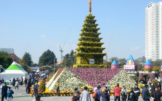 전북 익산 국화축제 자료사진. 뉴시스