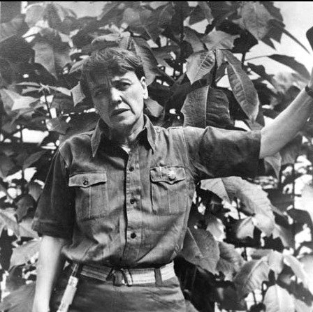 아그네스 스메들리 - 구글 갈무리