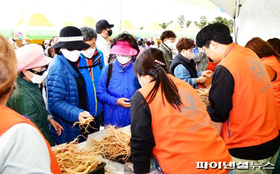 2022 제17회 파주개성인삼축제 현장. 사진제공=파주시