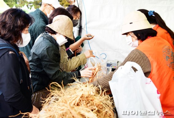 2022 제17회 파주개성인삼축제 현장. 사진제공=파주시