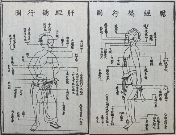 [한동하의 본초여담] 꾀병에 〇을 뜬다고 하니 바로 쾌차했다