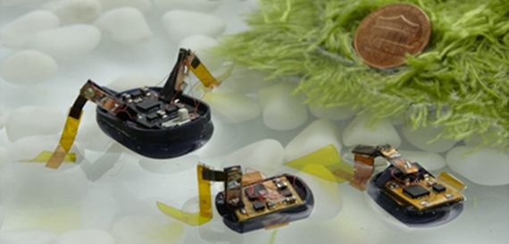 고려대 조진한·아주대 고제성 교수팀이 세계 최초로 초소형 소프트 액추에이터를 개발해 1센트 동전보다 작은 수상로봇을 만들었다. 조진한 교수 제공