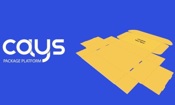 브이아이코리아의 실시간 견적 및 맞춤형 패키지 박스 제작 서비스 '케이즈'