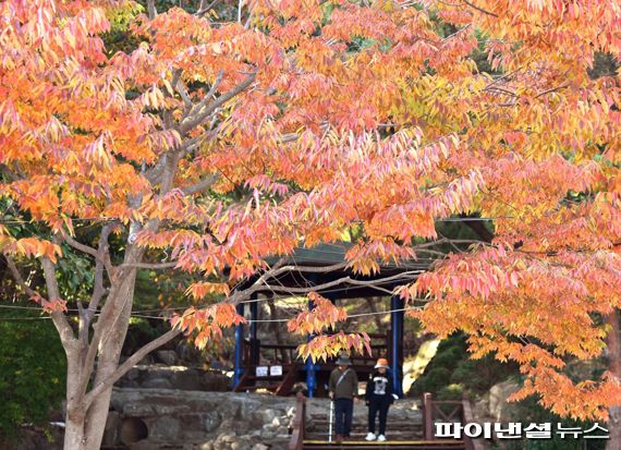 시흥 ‘소래산 놀자숲’. 사진제공=시흥시