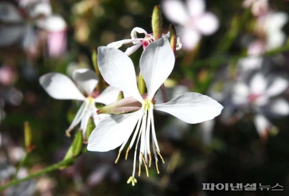 시흥 ‘소래산 놀자숲’. 사진제공=시흥시