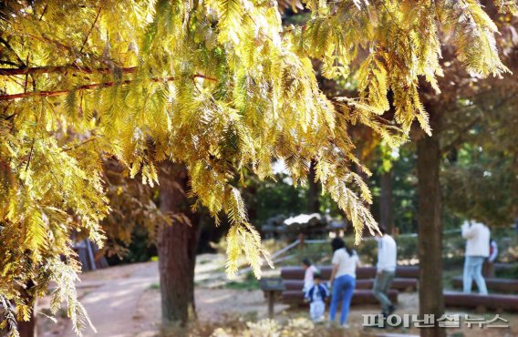 가을 K-시흥시 ‘소래산 놀자숲’ 잠식하다