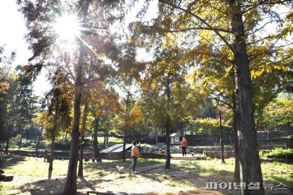 시흥 ‘소래산 놀자숲’. 사진제공=시흥시