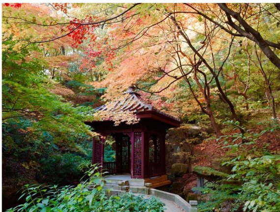 그림같은 풍경에 탄성 절로…석파정 서울미술관 '단풍주간' - 파이낸셜뉴스