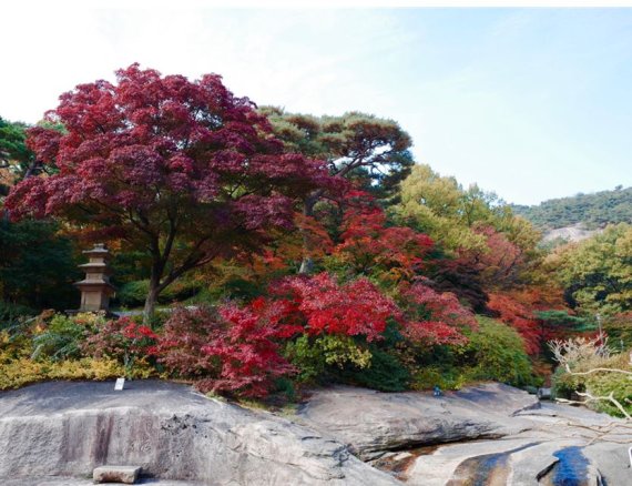그림같은 풍경에 탄성 절로…석파정 서울미술관 '단풍주간' - 파이낸셜뉴스