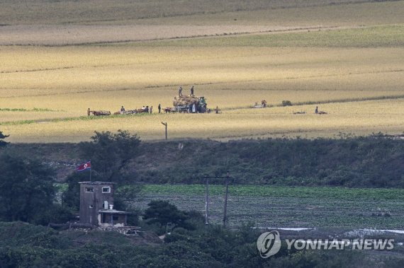 경기도 파주시 서부전선 비무장지대(DMZ) 도라전망대에서 바라본 북측 기정동 마을 북녘의 가을 (파주=연합뉴스) 임병식 기자 = 5일 경기도 파주시 서부전선 비무장지대(DMZ) 도라전망대에서 바라본 북측 기정동 마을에서 주민들이 추수하고 있다. 2022.10.5 andphotodo@yna.co.kr (끝)