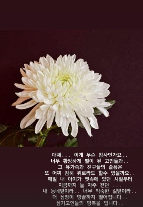 방송인 안선영 인스타그램