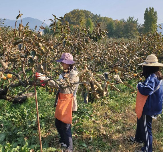 (출처=뉴시스/NEWSIS)