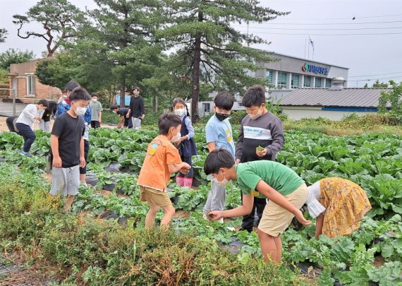 전북 농촌유학 신청하세요