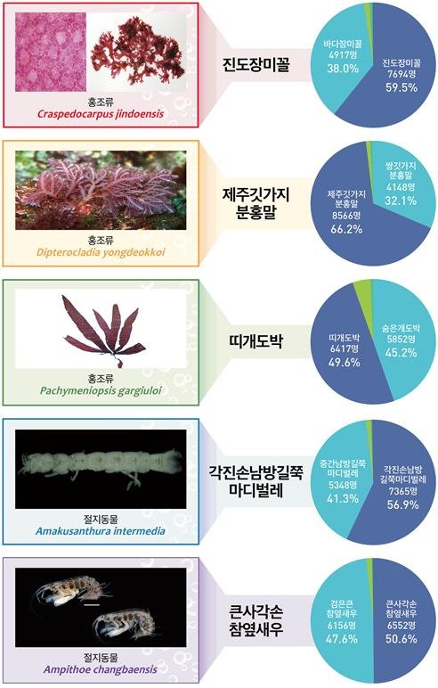 해수부, 해양생물 10종에 '진도장미꼴' 등 우리말 이름 지어줘