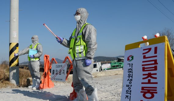 전북 정읍시의 한 농가의 오리가 조류인플루엔자(AI) 중앙사고수습본부의 검사 중 AI 의심사례로 확인된 28일 오리농장 입구에서 관계자들이 일대를 통제하고 있다. /사진=뉴시스