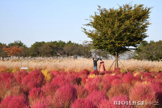 2022년 시흥시 갯골생태공원 가을. 사진제공=시흥시