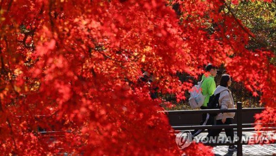 가을빛으로 물든 나뭇잎 가을빛으로 물든 나뭇잎 (서울=연합뉴스) 김도훈 기자 = 11월의 첫 주말인 6일 서울 강북구 북한산 등산로의 나무들이 가을빛으로 물들어 있다. 2022.11.6 superdoo82@yna.co.kr (끝)