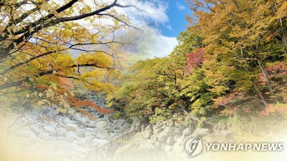 전국 단풍 물결 한라산도 가을빛…주말 하늘 쾌청(CG) [연합뉴스TV 제공]