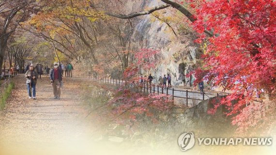 '마스크 단풍놀이'도 좋다(CG) [연합뉴스TV 제공]